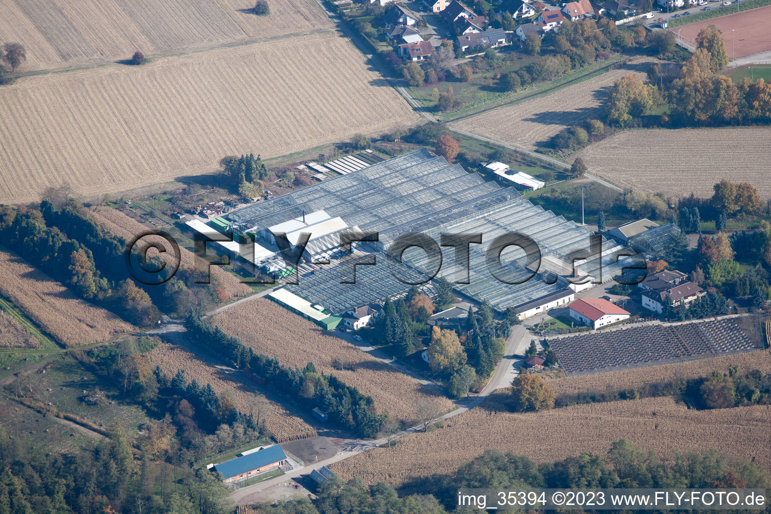 Geranium Endisch GmbH in Hagenbach in the state Rhineland-Palatinate, Germany from a drone
