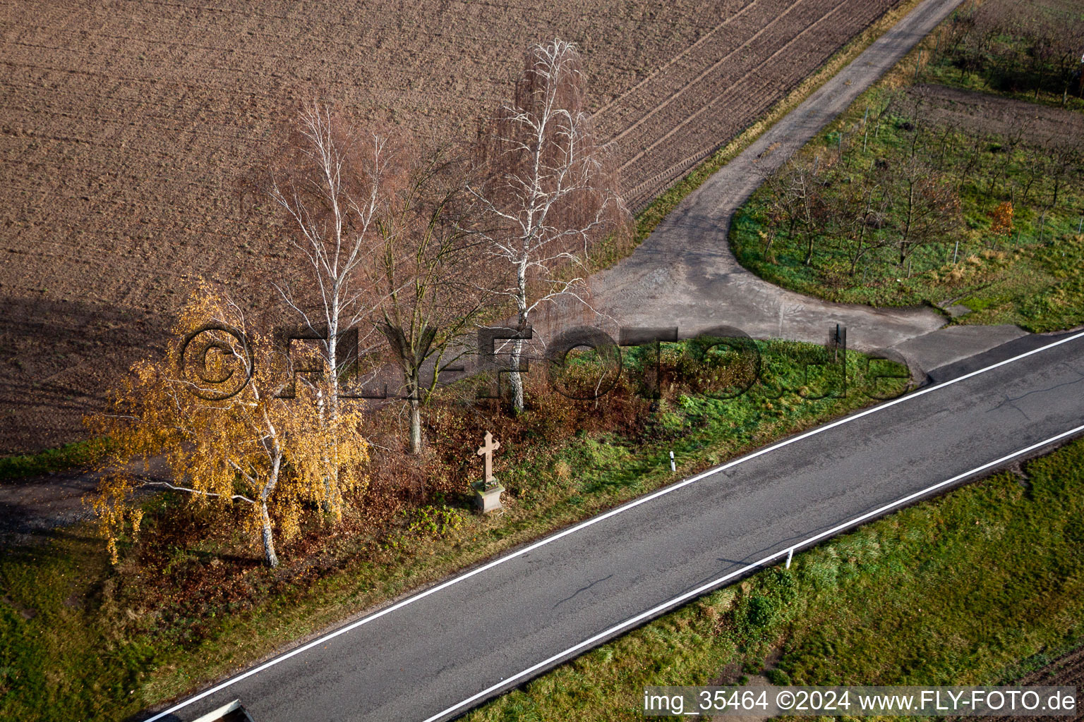 Row of trees on a country road on a field edge in Hatzenbuehl in the state Rhineland-Palatinate