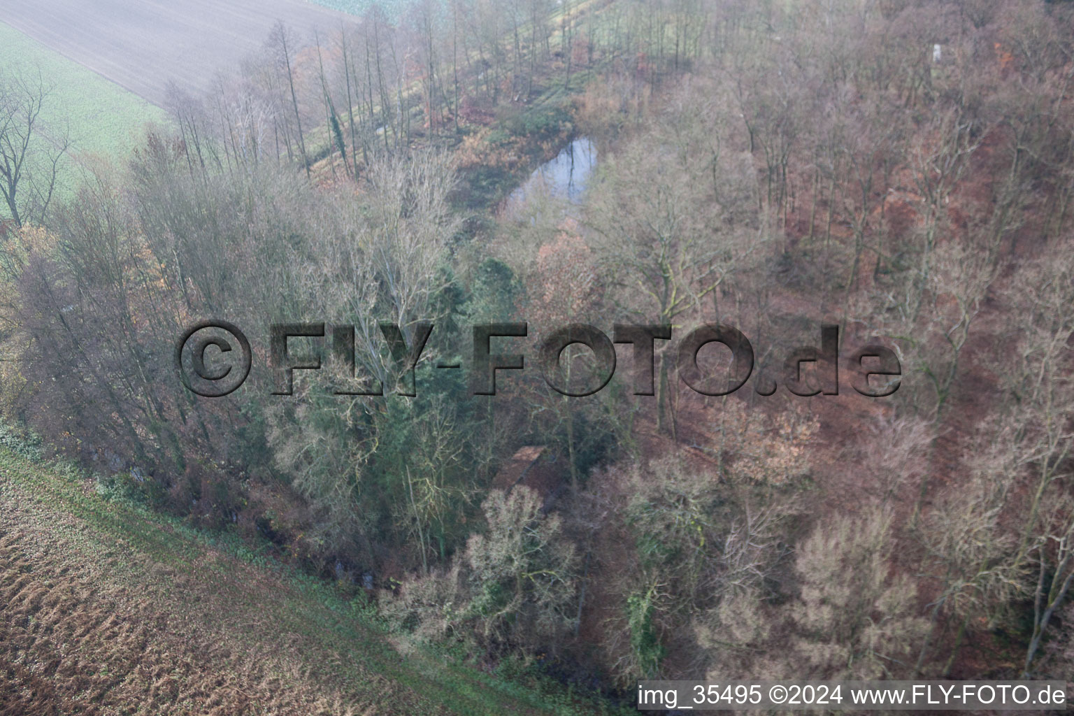 Aerial view of Hunting area at the Leistenmühle in Erlenbach bei Kandel in the state Rhineland-Palatinate, Germany