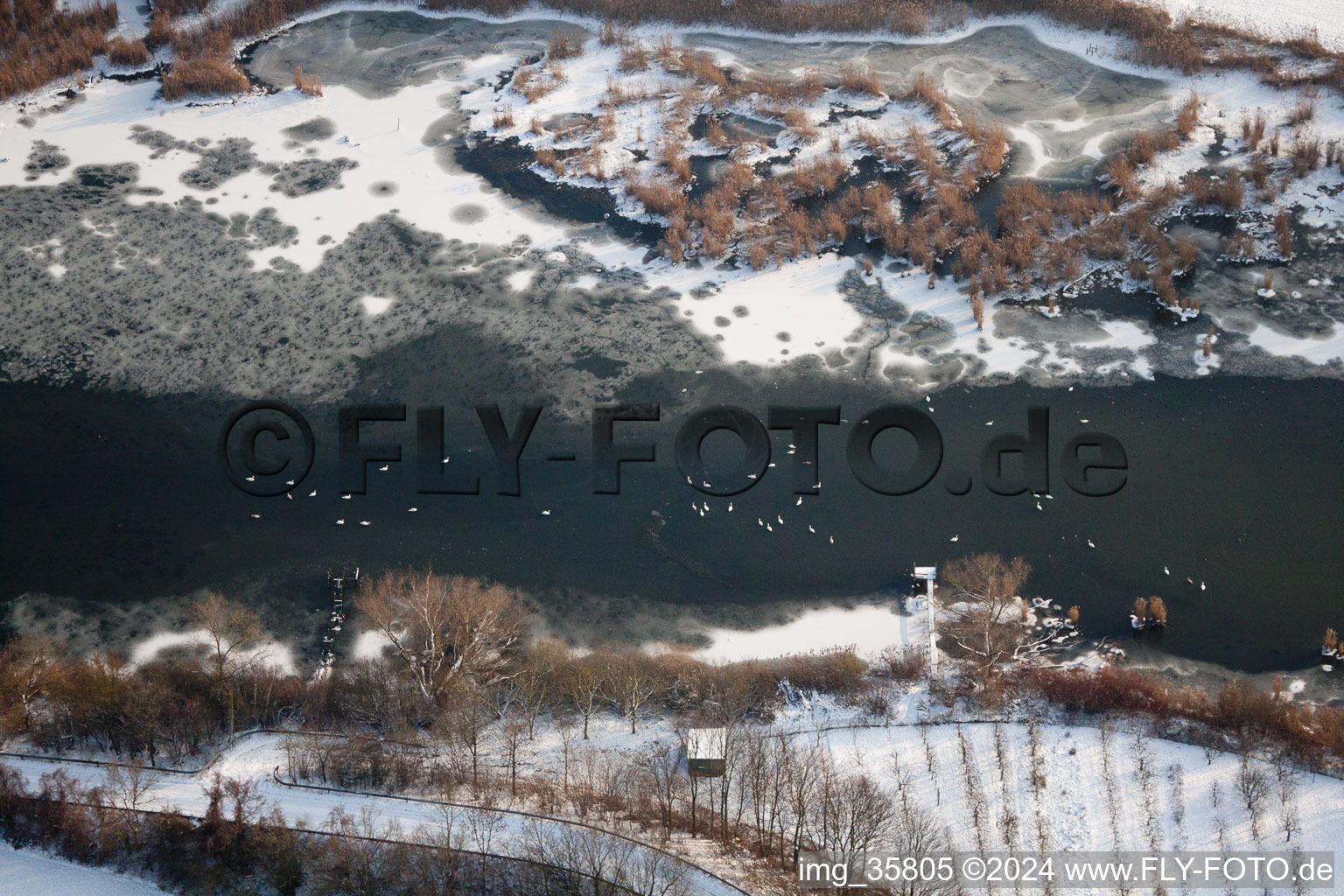 Oberwald Industrial Area in Wörth am Rhein in the state Rhineland-Palatinate, Germany from a drone