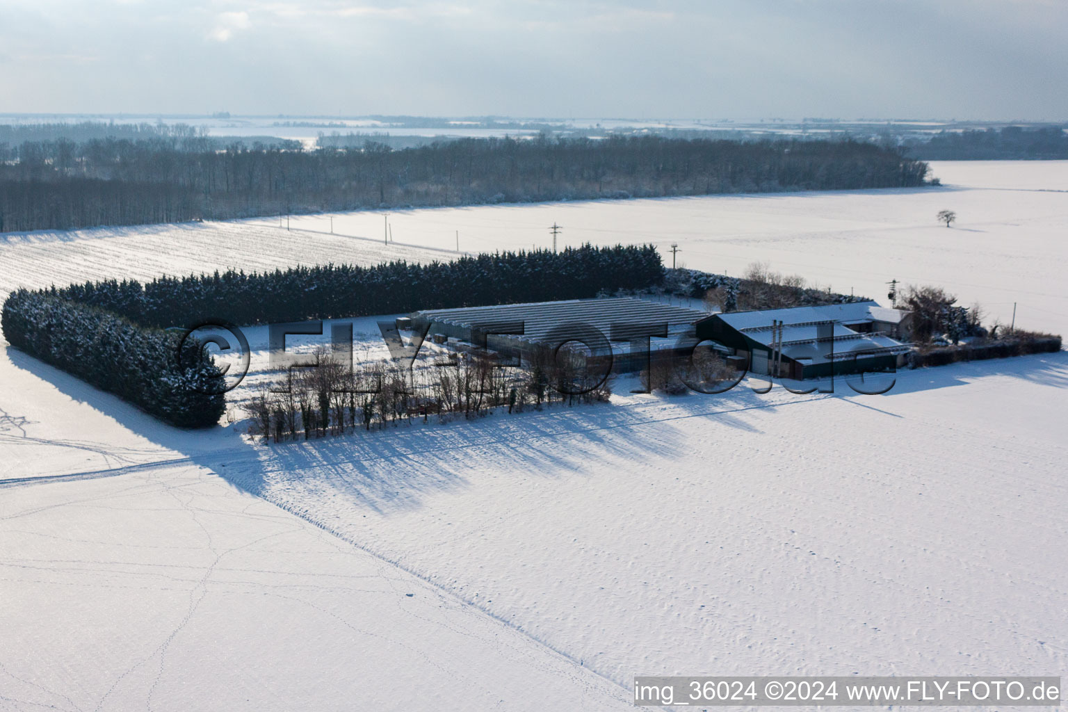 Aerial view of Sudetenhof in Steinweiler in the state Rhineland-Palatinate, Germany