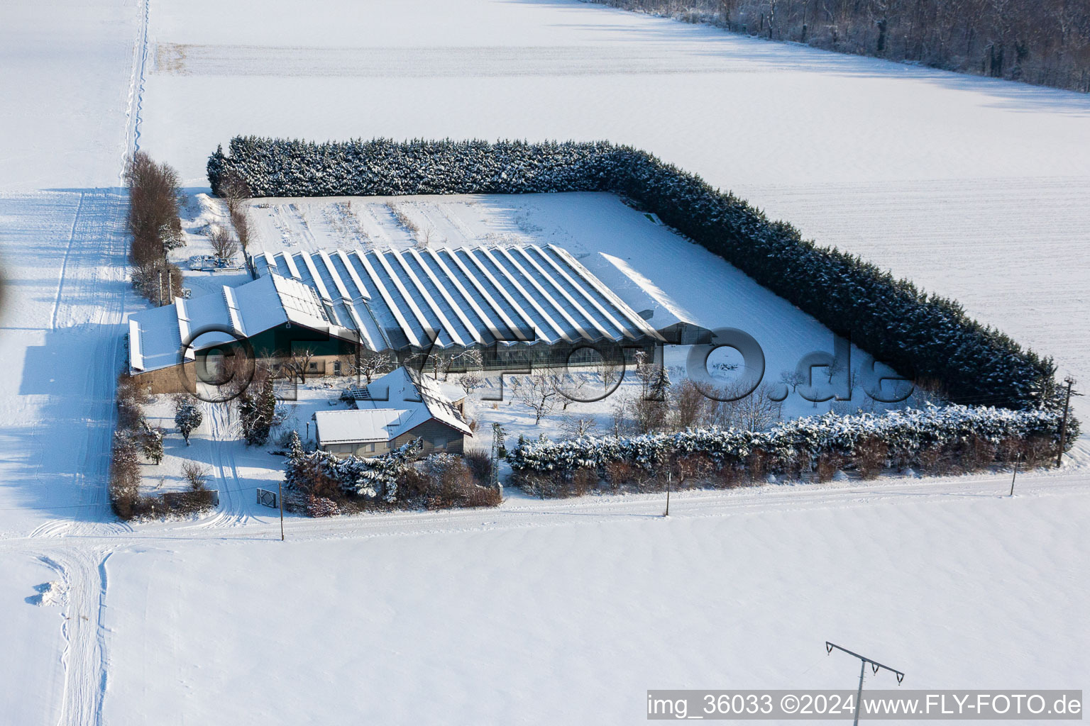 Aerial photograpy of Sudetenhof in Steinweiler in the state Rhineland-Palatinate, Germany