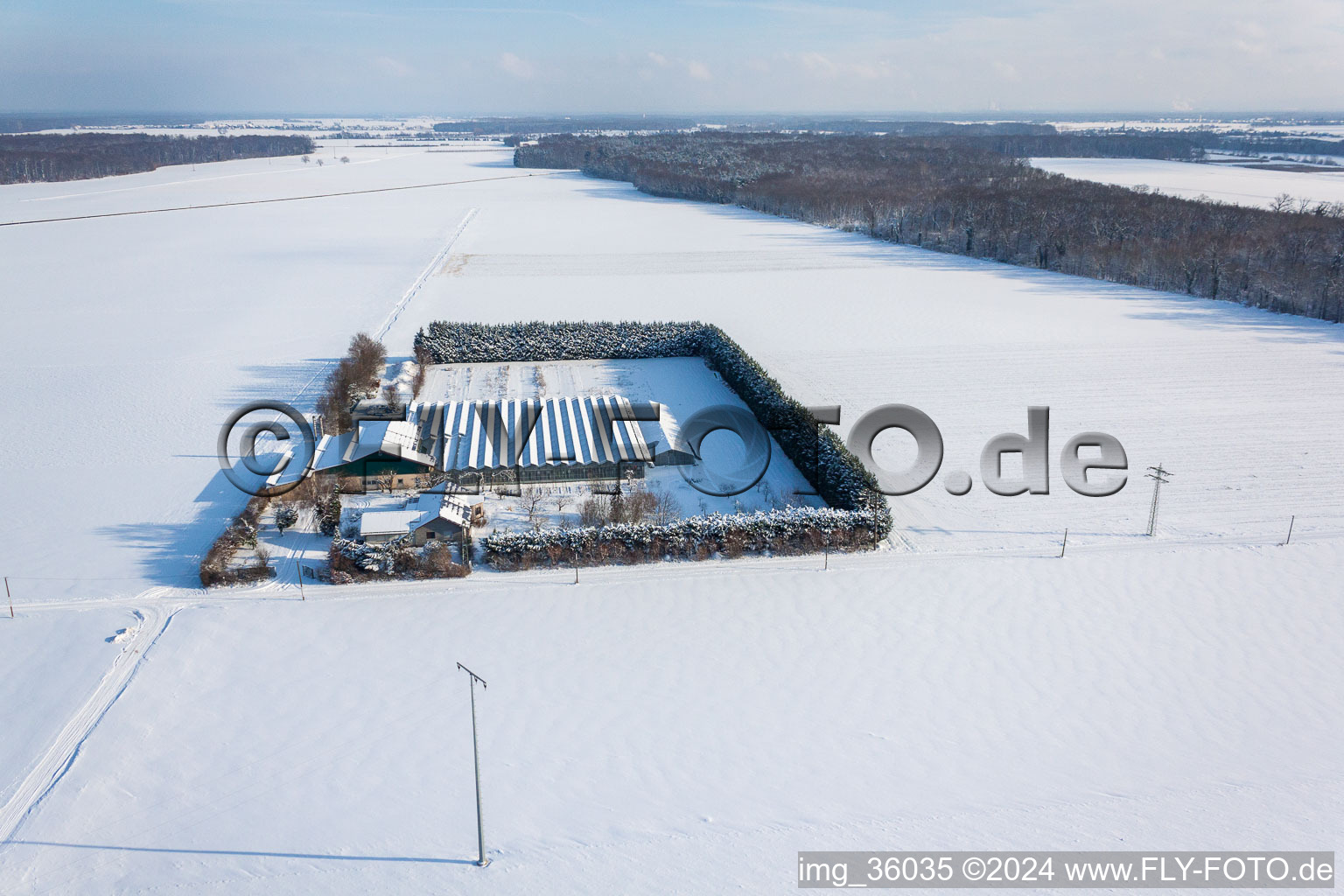 Oblique view of Sudetenhof in Steinweiler in the state Rhineland-Palatinate, Germany