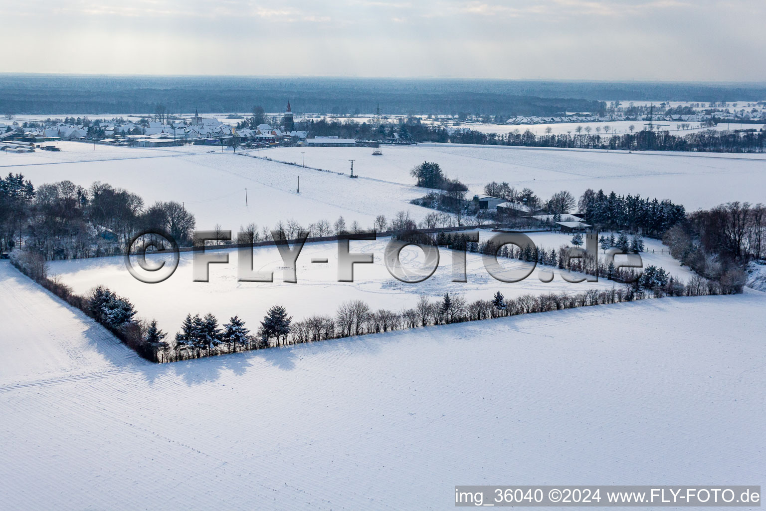 Bird's eye view of Trakehner-Friedrich in Minfeld in the state Rhineland-Palatinate, Germany