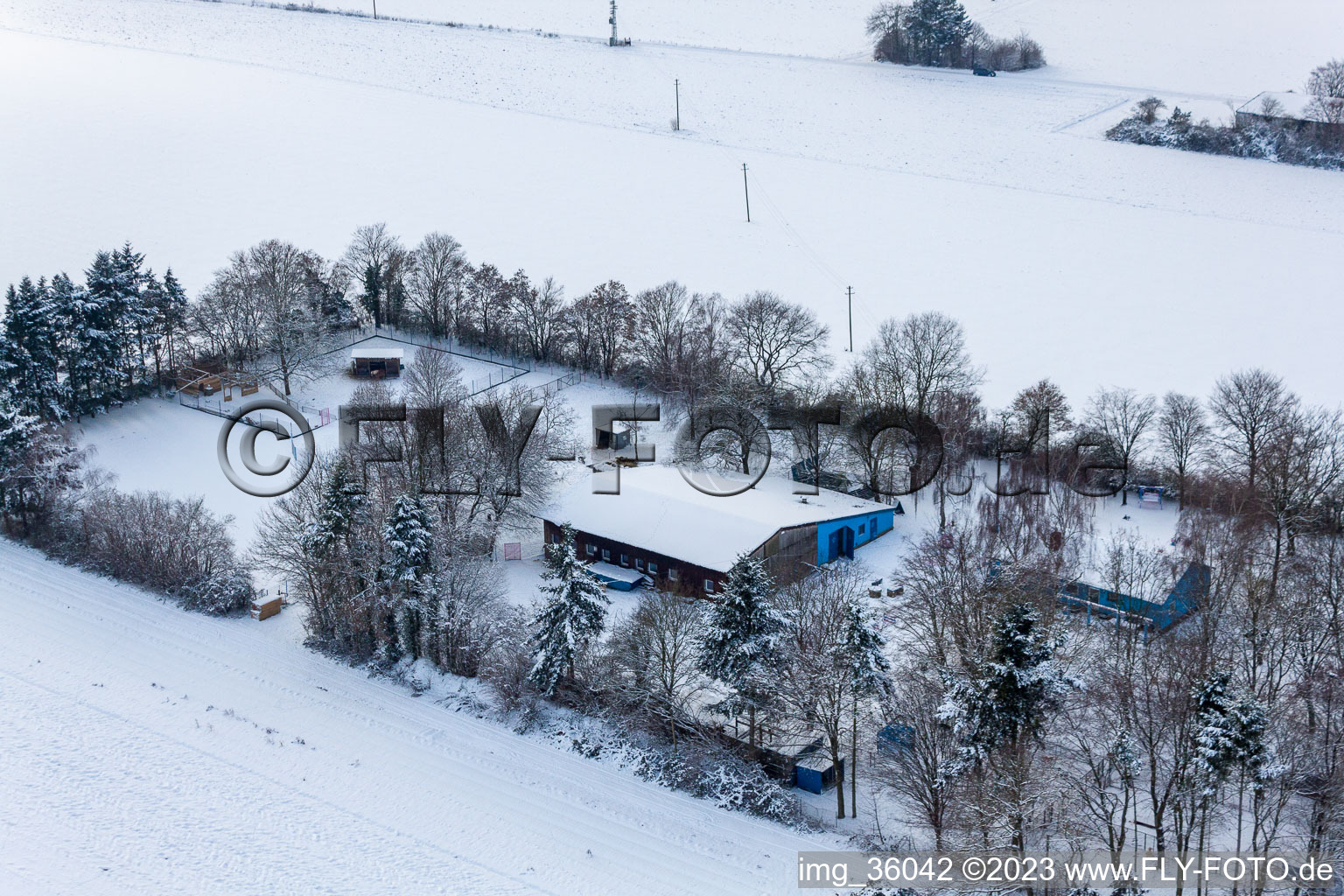 Aerial view of Dog boarding in Minfeld in the state Rhineland-Palatinate, Germany
