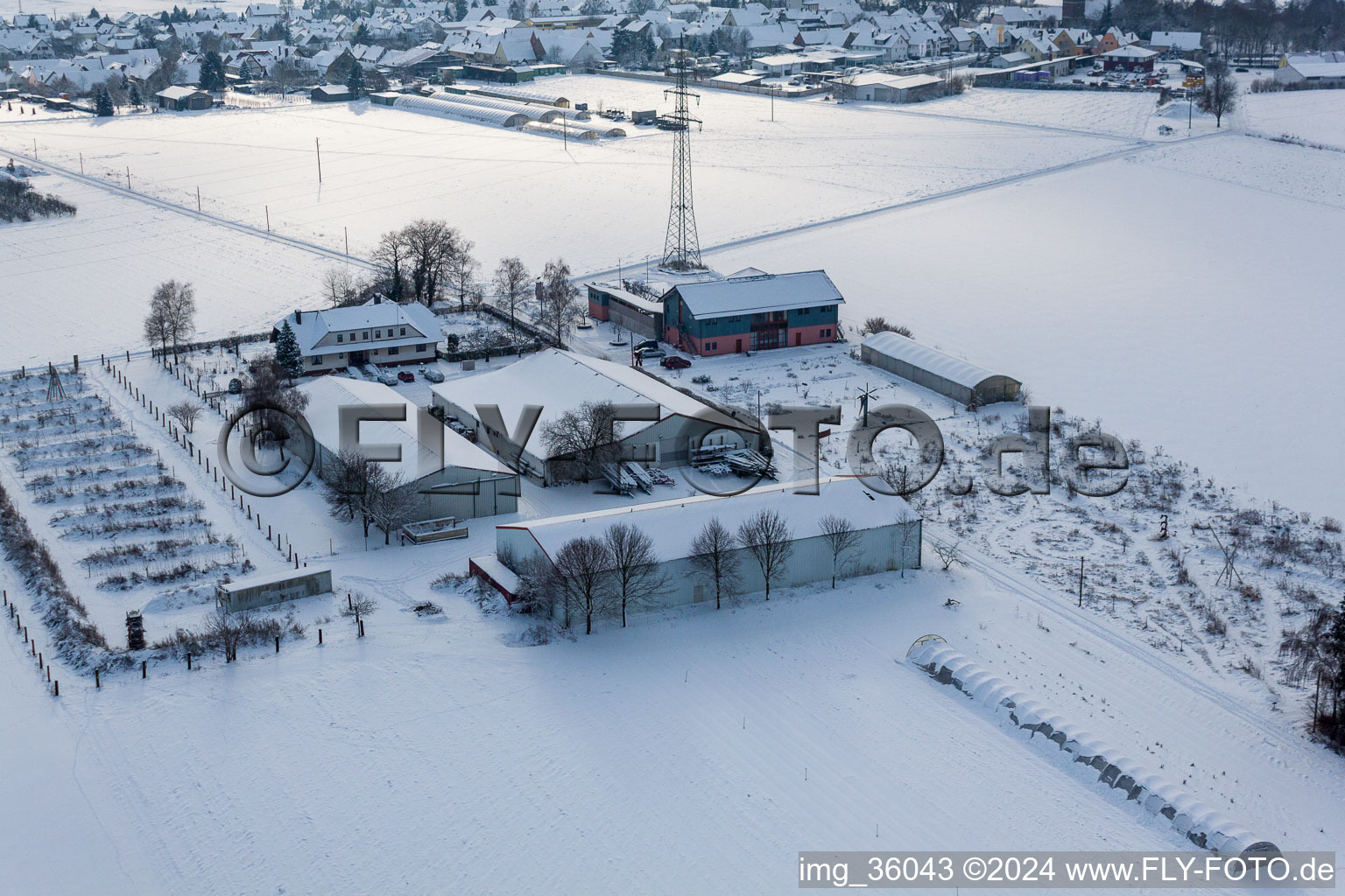 Schoßberghof in Minfeld in the state Rhineland-Palatinate, Germany from a drone