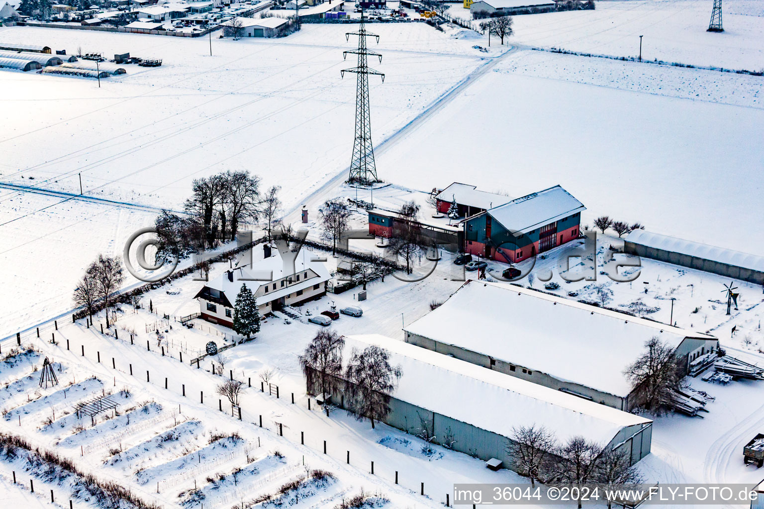 Schoßberghof in winter with snow in Minfeld in the state Rhineland-Palatinate, Germany