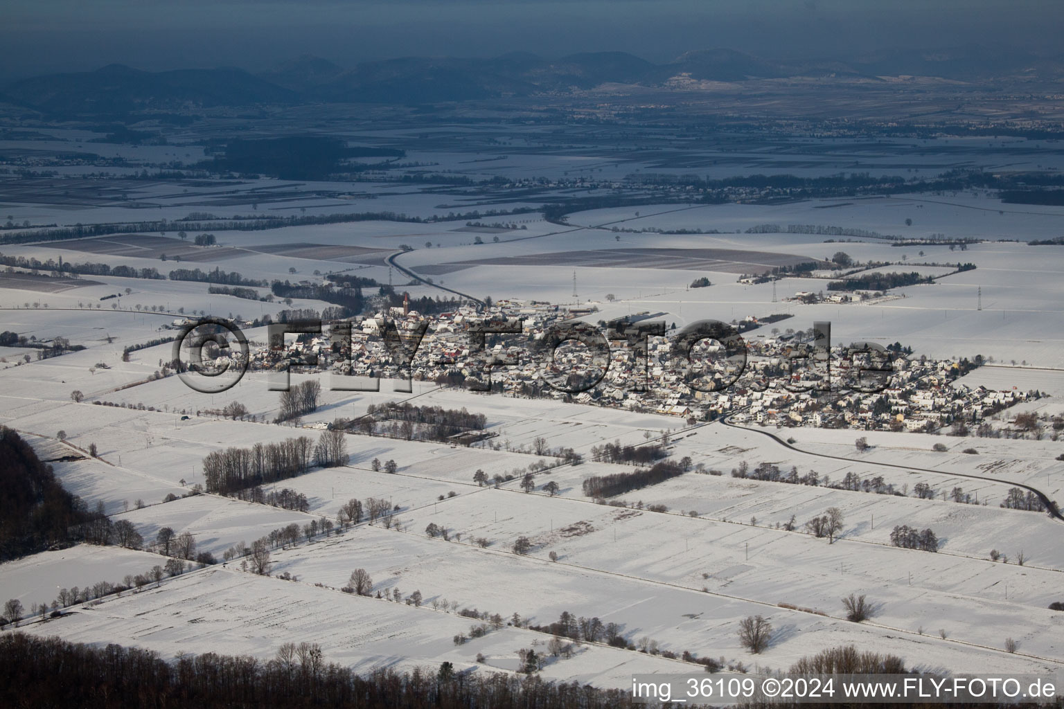 Minfeld in the state Rhineland-Palatinate, Germany from a drone