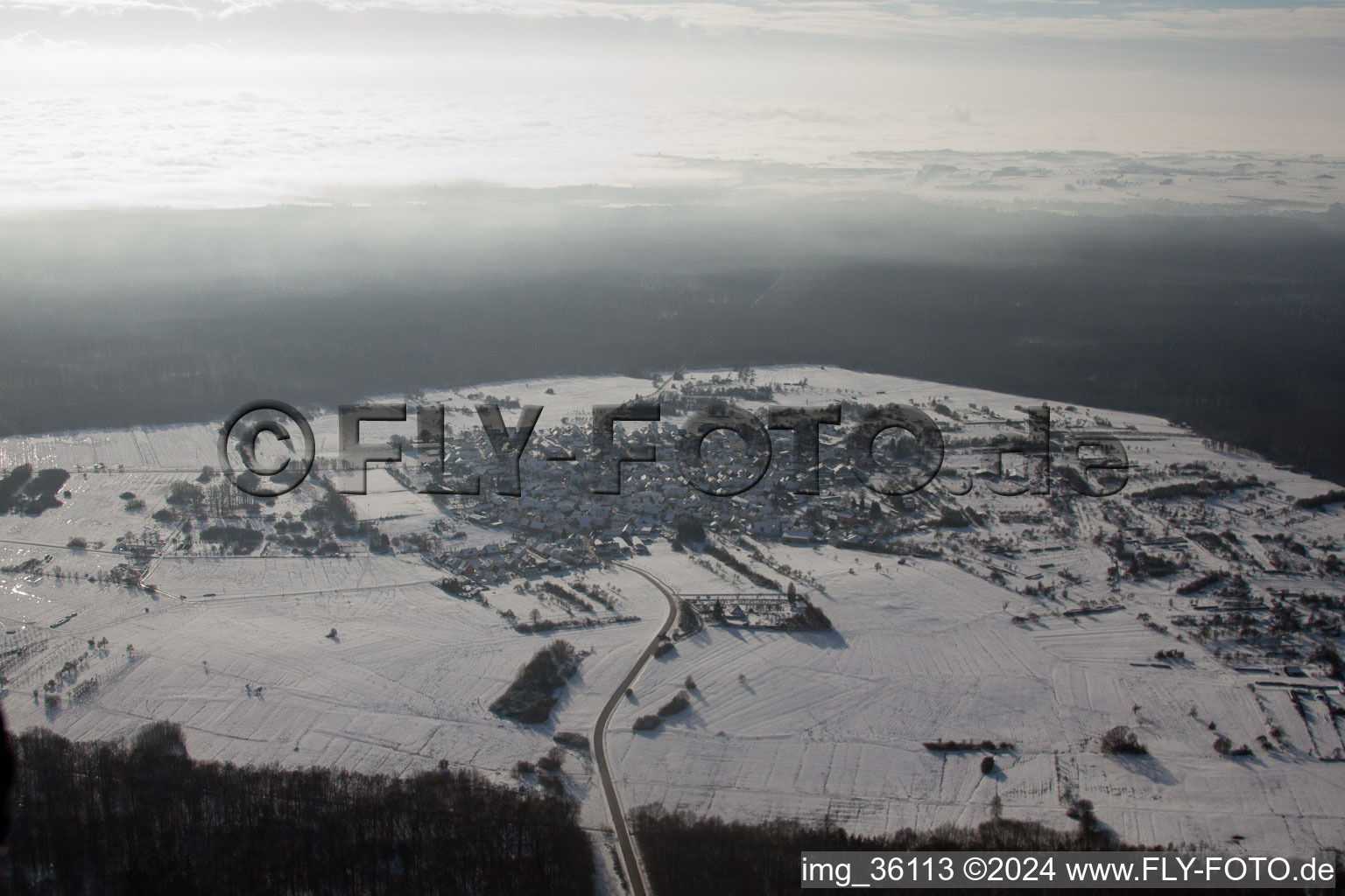 District Büchelberg in Wörth am Rhein in the state Rhineland-Palatinate, Germany from a drone