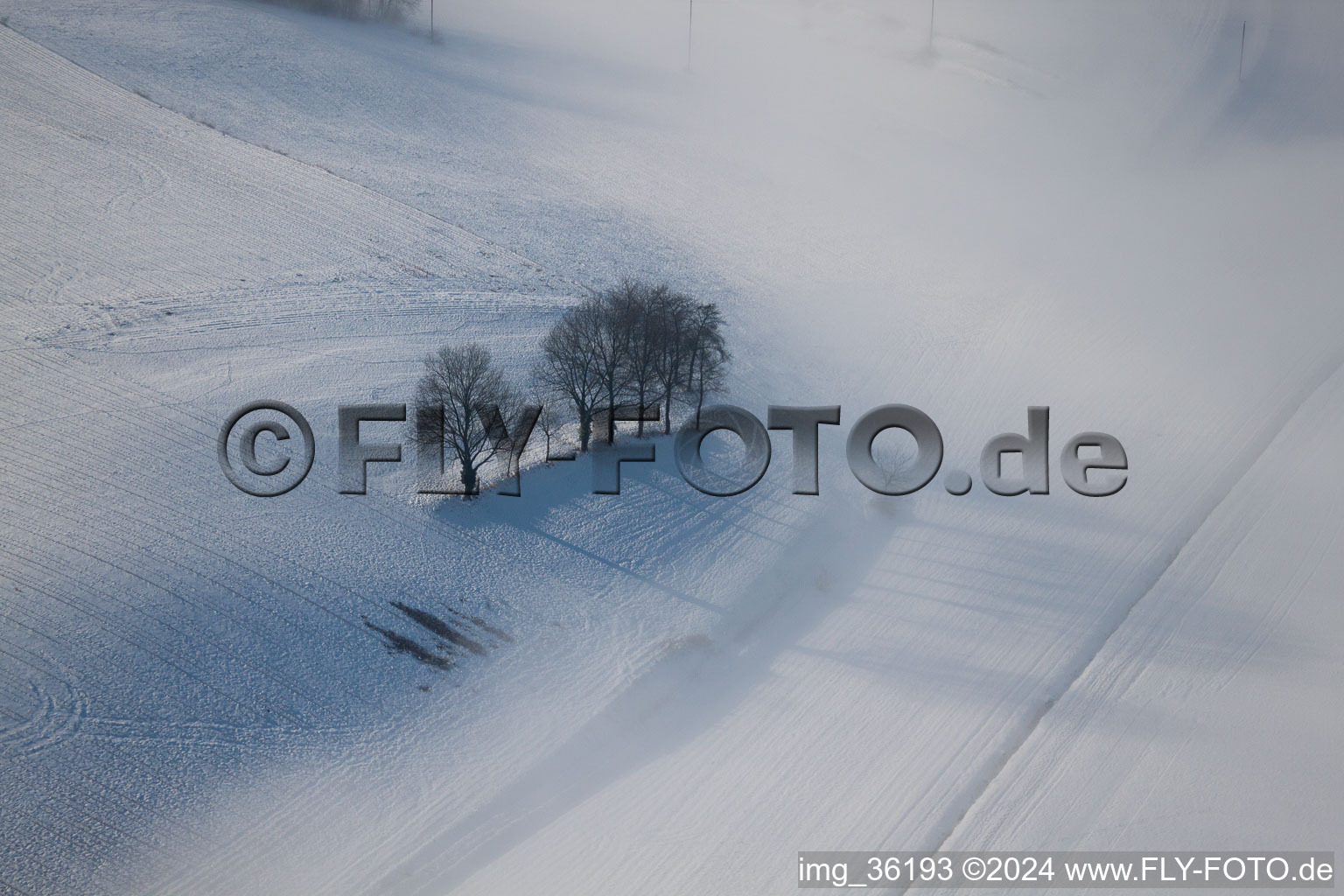 Aerial photograpy of Wintzenbach in the state Bas-Rhin, France