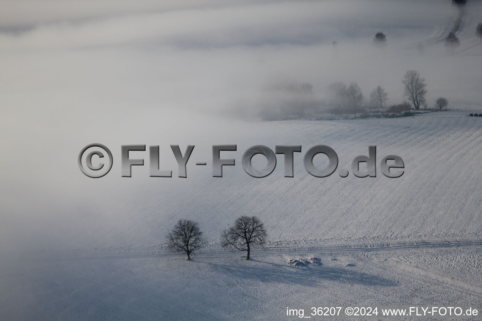 Aerial photograpy of Wintzenbach in the state Bas-Rhin, France