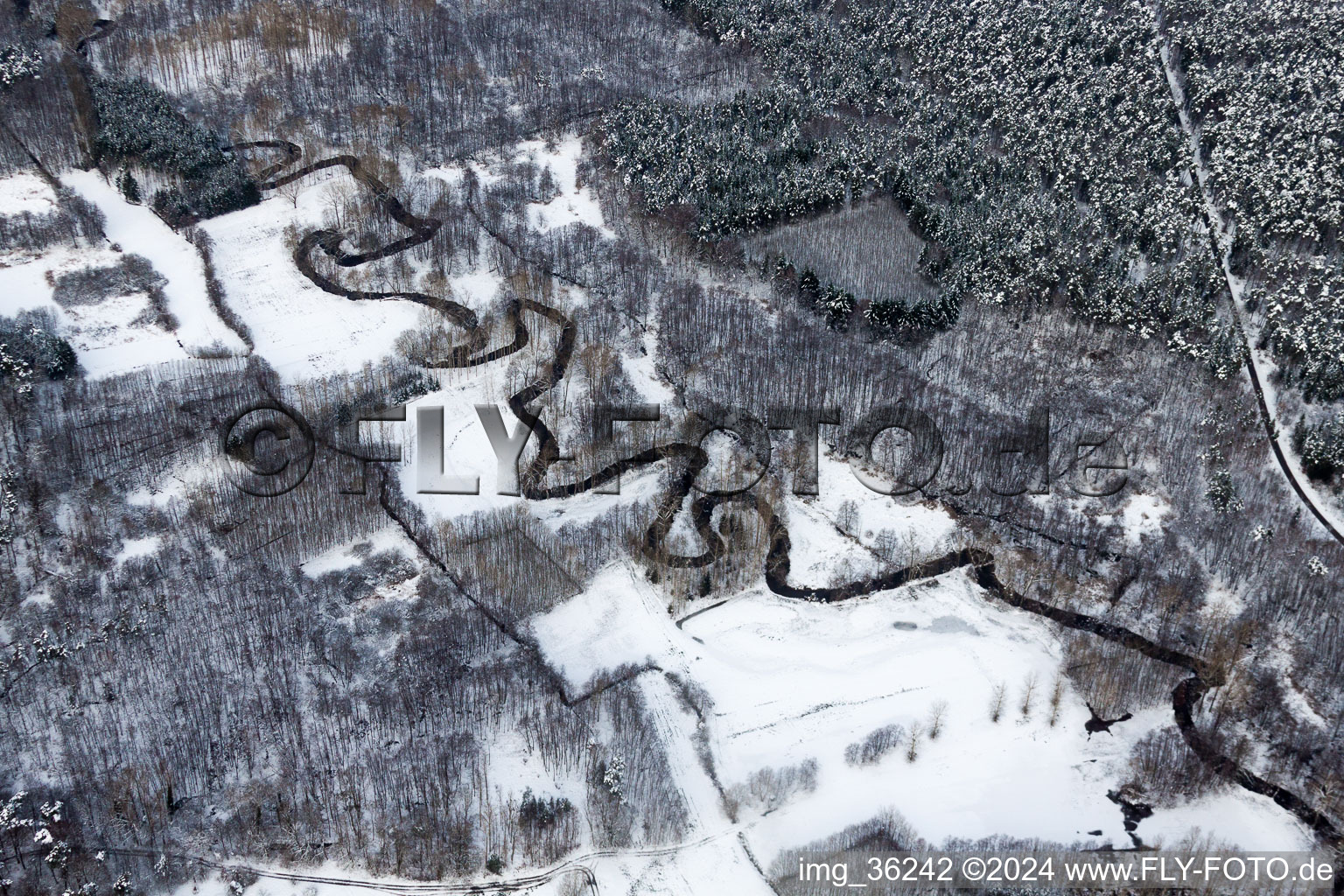 Wintry snowy Curved loop of the riparian zones on the course of the river of Lauter in Wissembourg in Grand Est, France