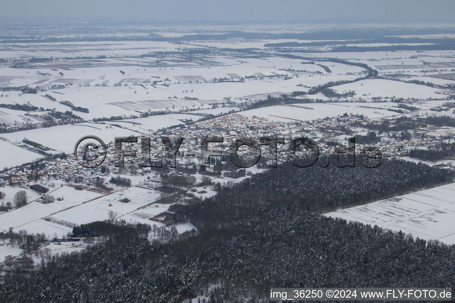 District Schaidt in Wörth am Rhein in the state Rhineland-Palatinate, Germany from above