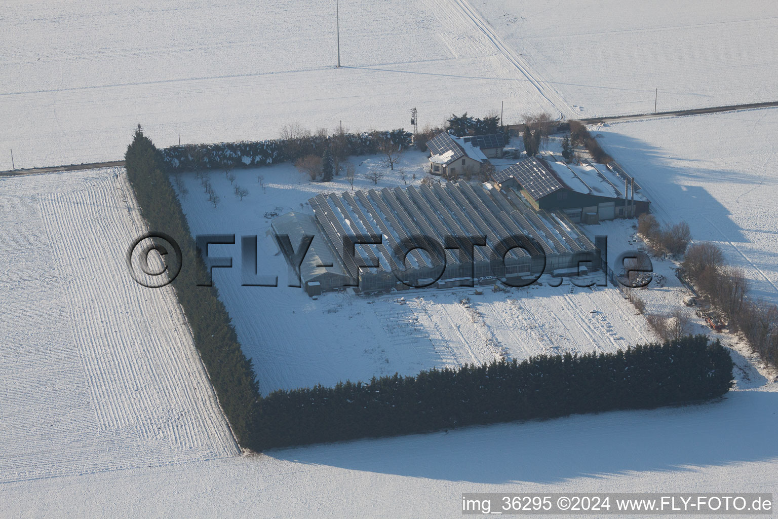 Bird's eye view of Steinweiler in the state Rhineland-Palatinate, Germany