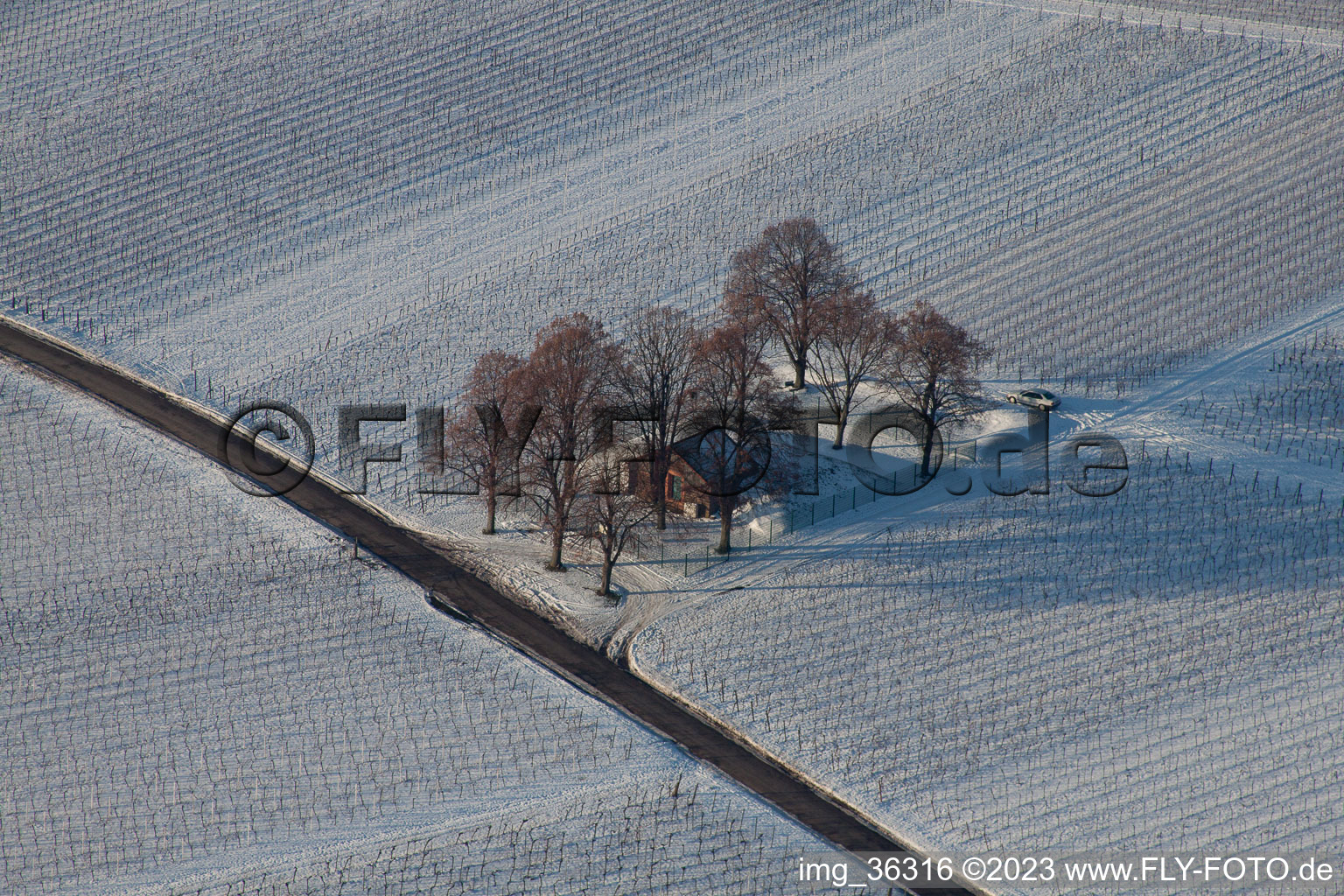 Impflingen in the state Rhineland-Palatinate, Germany from above