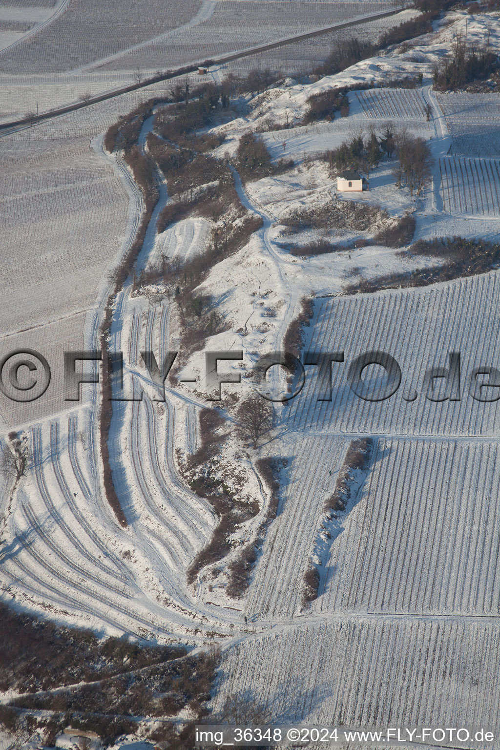 Small Kalmit in winter with snow in Ilbesheim bei Landau in der Pfalz in the state Rhineland-Palatinate, Germany