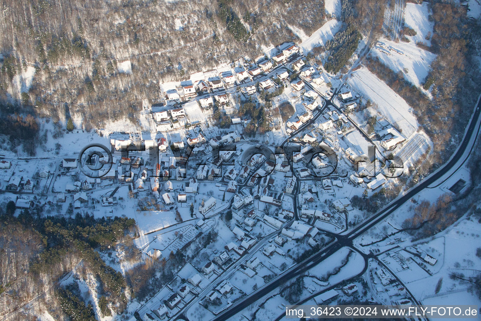 Waldhambach in the state Rhineland-Palatinate, Germany seen from a drone