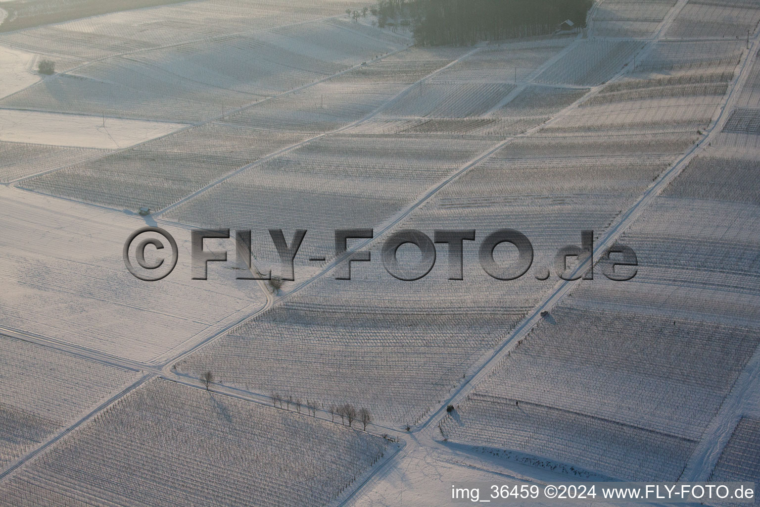 Bird's eye view of District Kapellen in Kapellen-Drusweiler in the state Rhineland-Palatinate, Germany