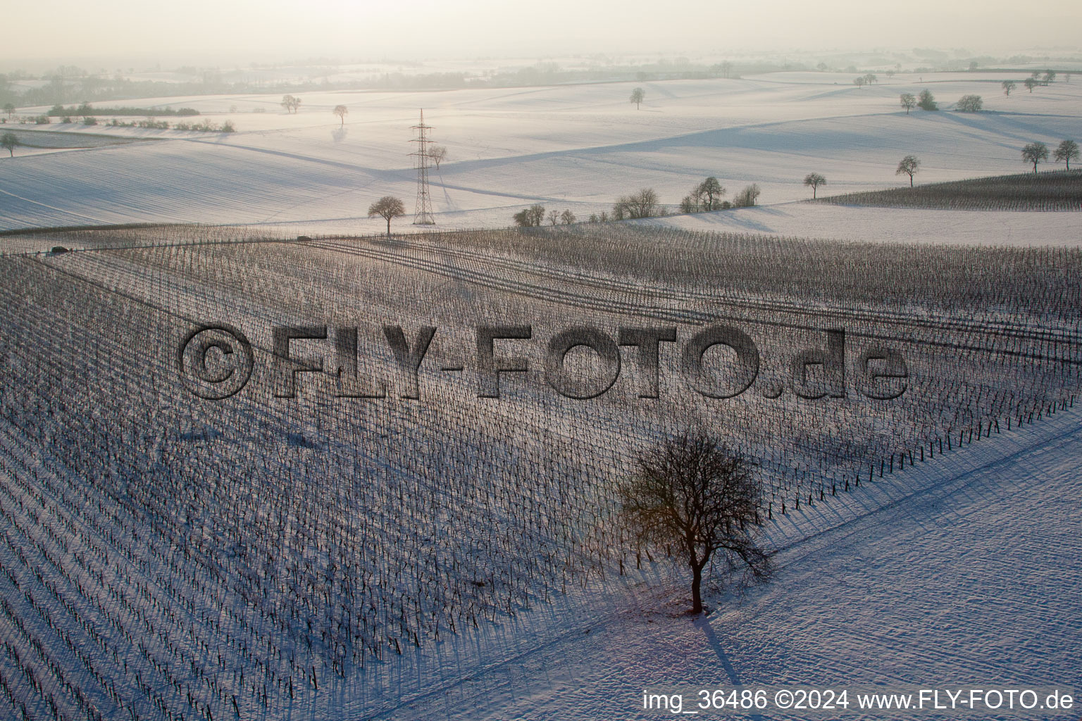 Bird's eye view of Dierbach in the state Rhineland-Palatinate, Germany