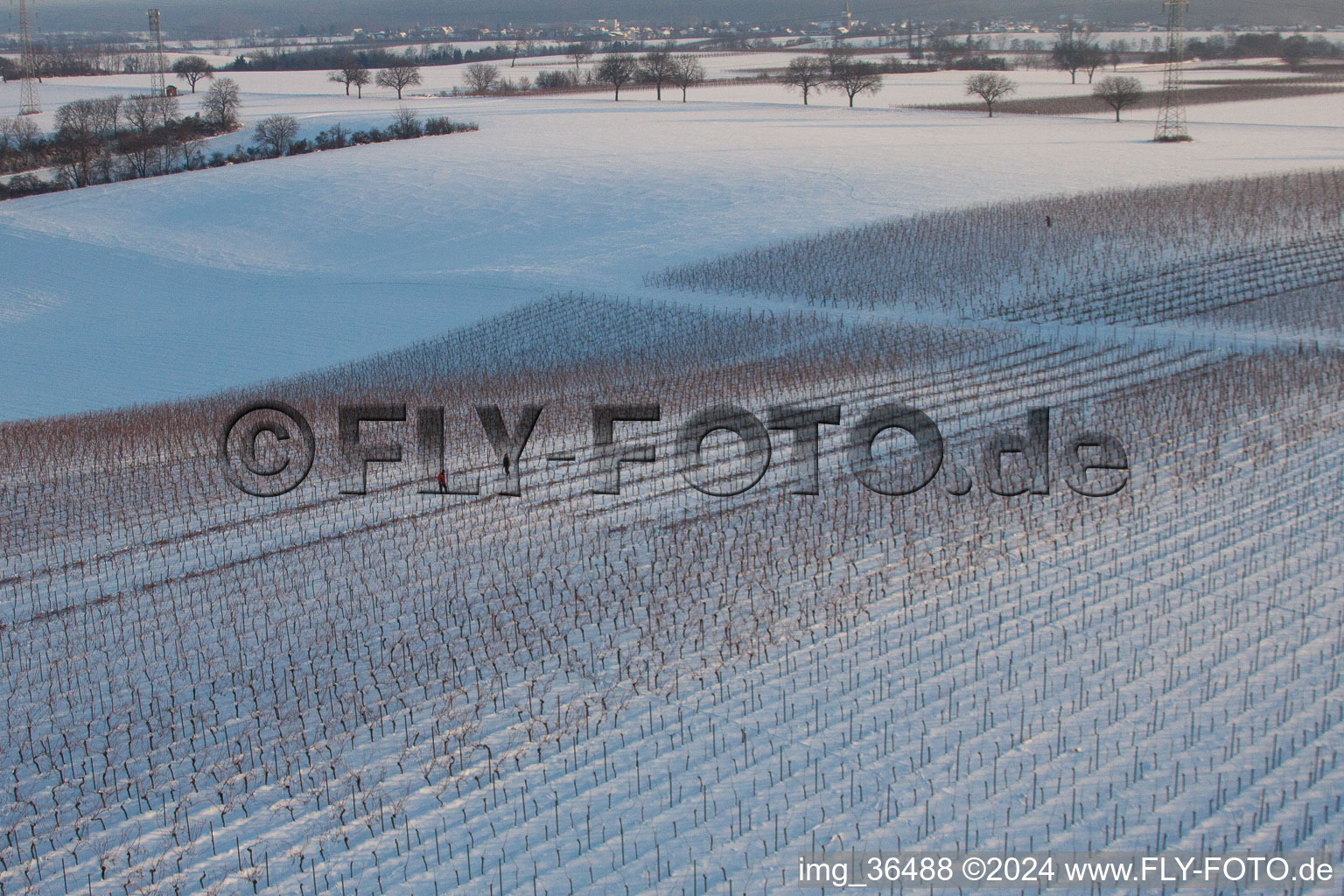 Dierbach in the state Rhineland-Palatinate, Germany viewn from the air