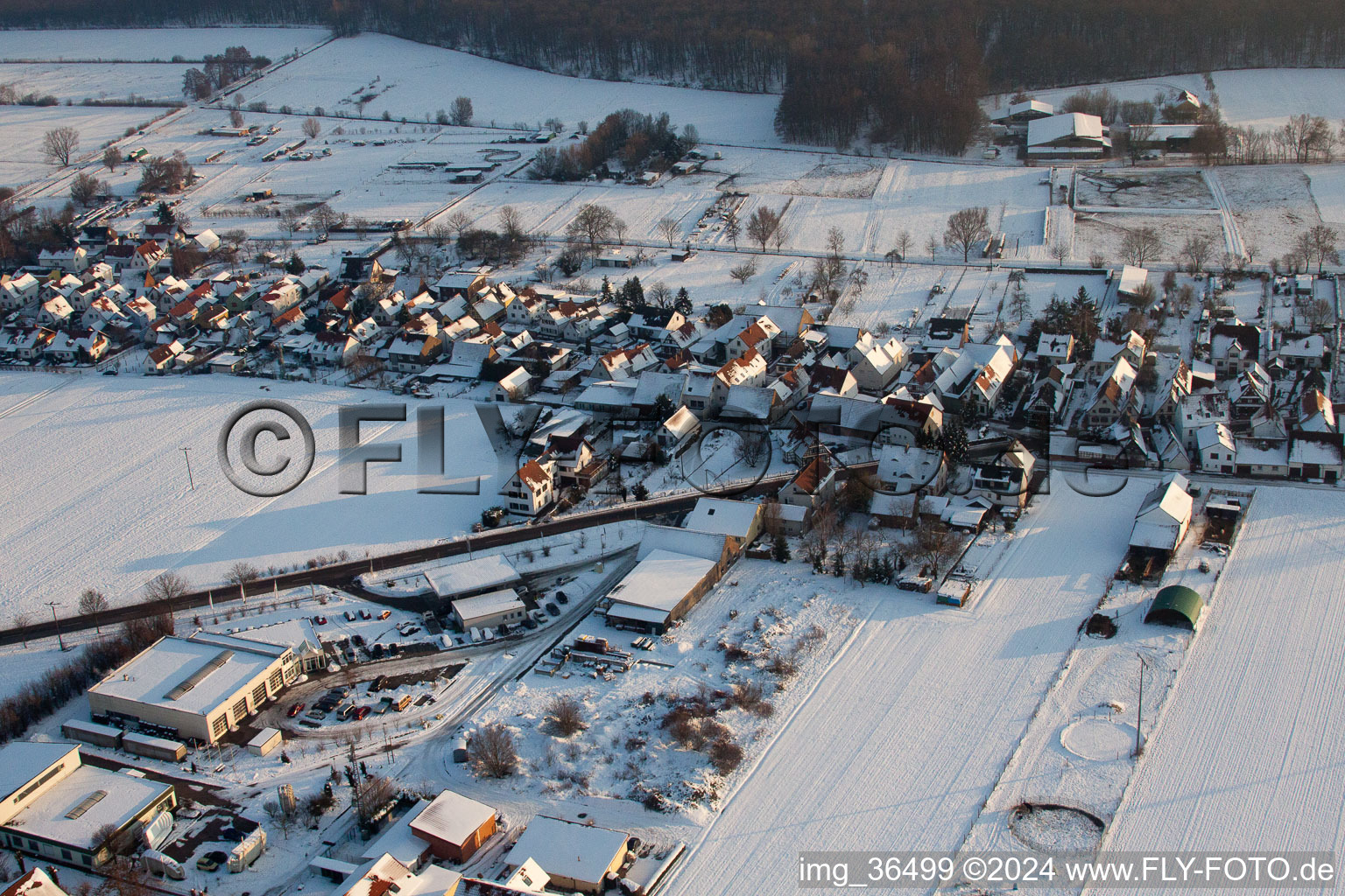 Bird's eye view of Freckenfeld in the state Rhineland-Palatinate, Germany