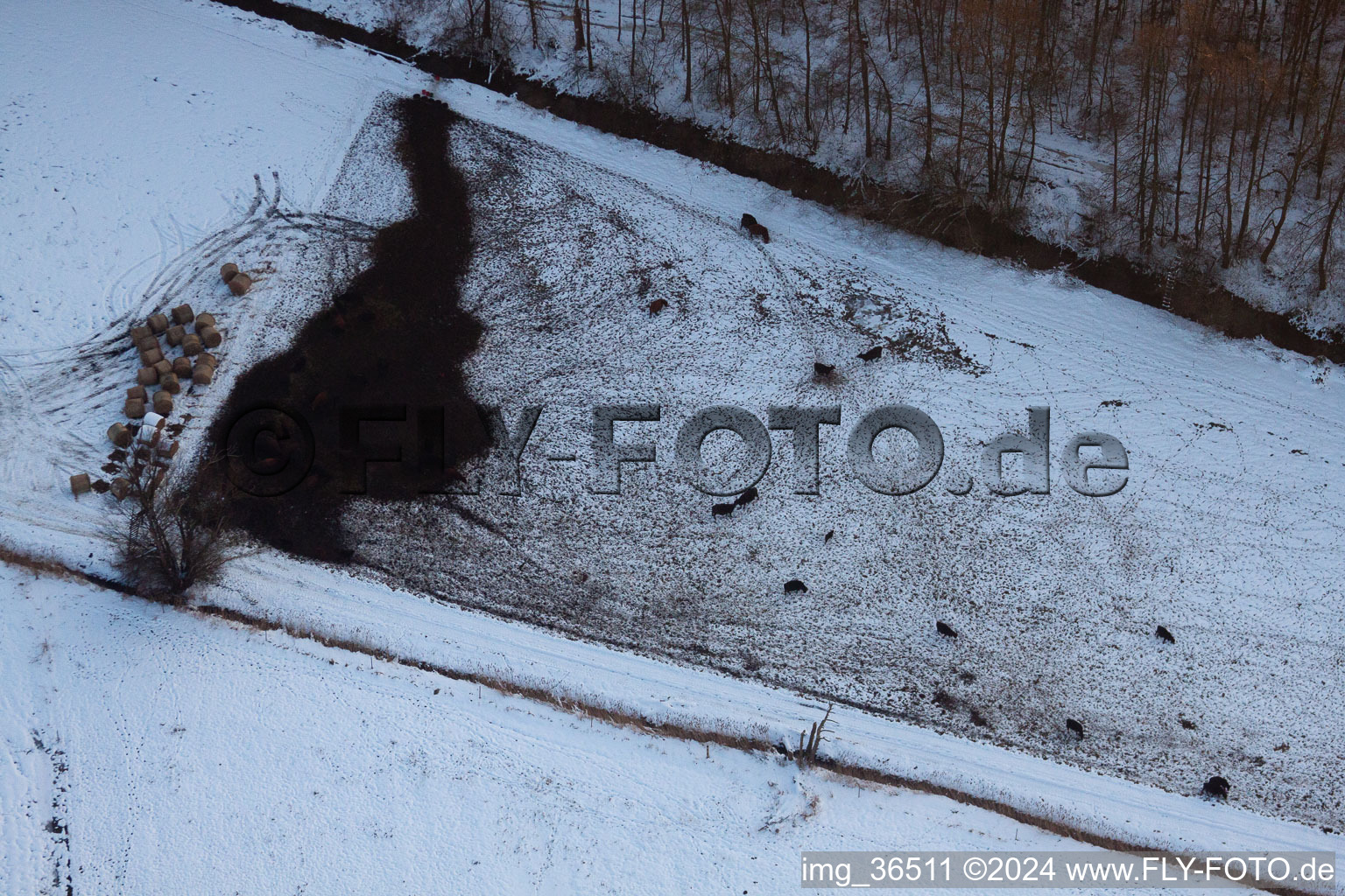 Minfeld in the state Rhineland-Palatinate, Germany from above