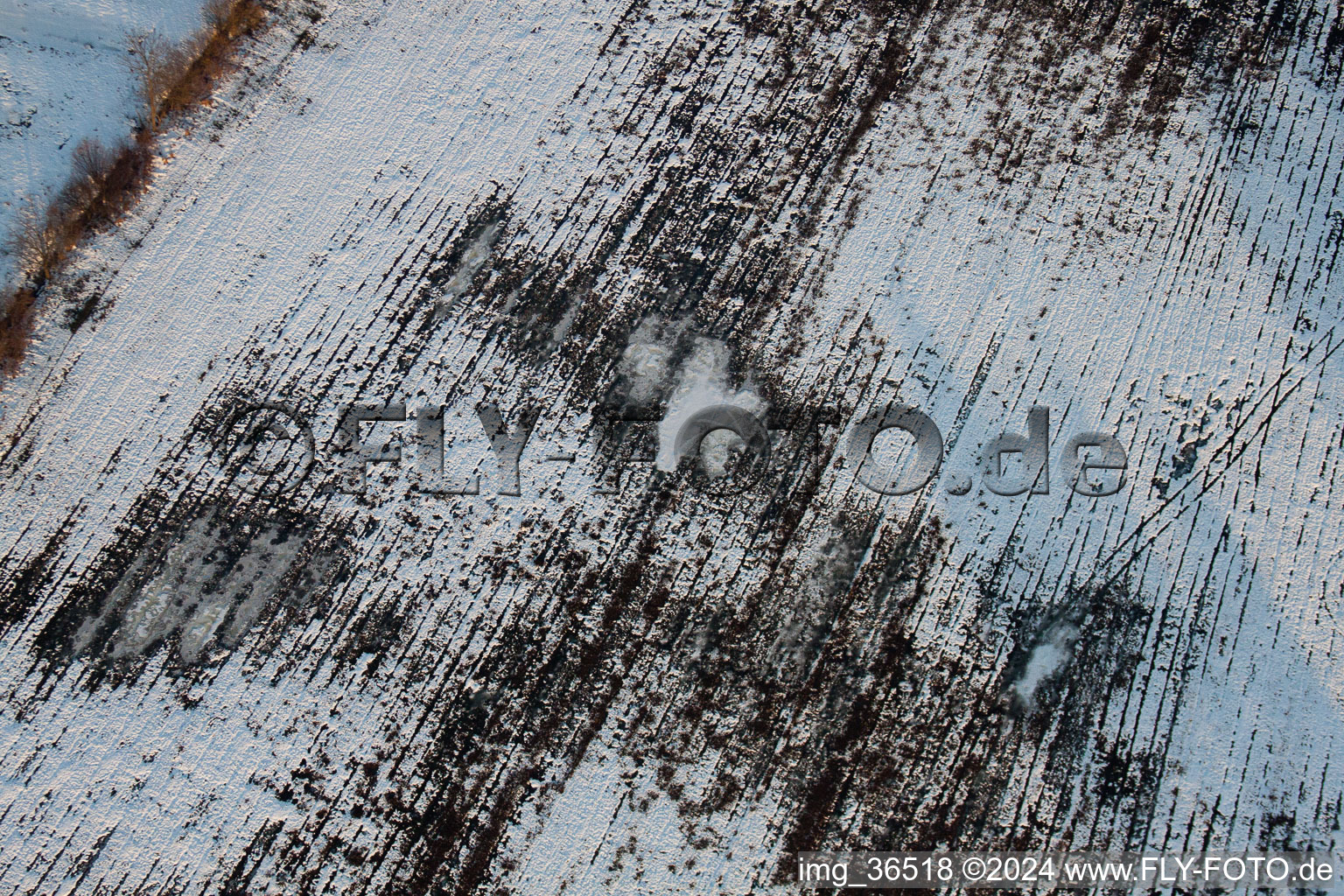 Bird's eye view of Minfeld in the state Rhineland-Palatinate, Germany