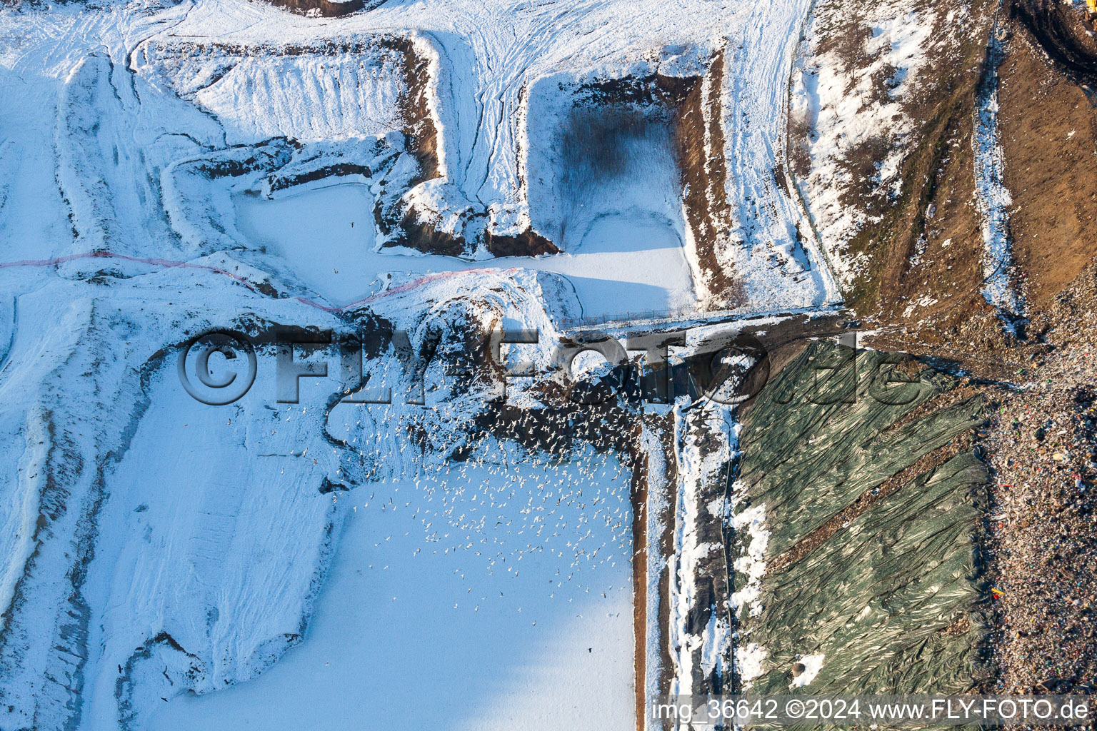 Aerial view of Wintry snowy Site of heaped landfill in Schaffhouse-pres-Seltz in Grand Est, France