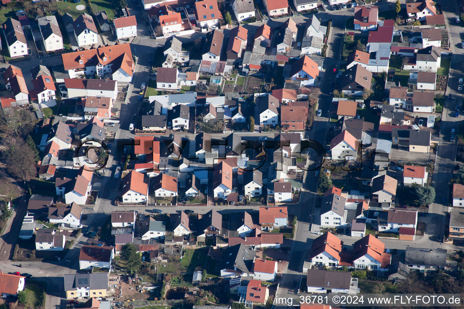 Oblique view of Lingenfeld in the state Rhineland-Palatinate, Germany