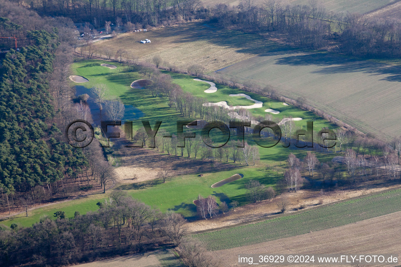 Golf Club Pfalz Neustadt ad Weinstraße eV in the district Geinsheim in Neustadt an der Weinstraße in the state Rhineland-Palatinate, Germany from the plane