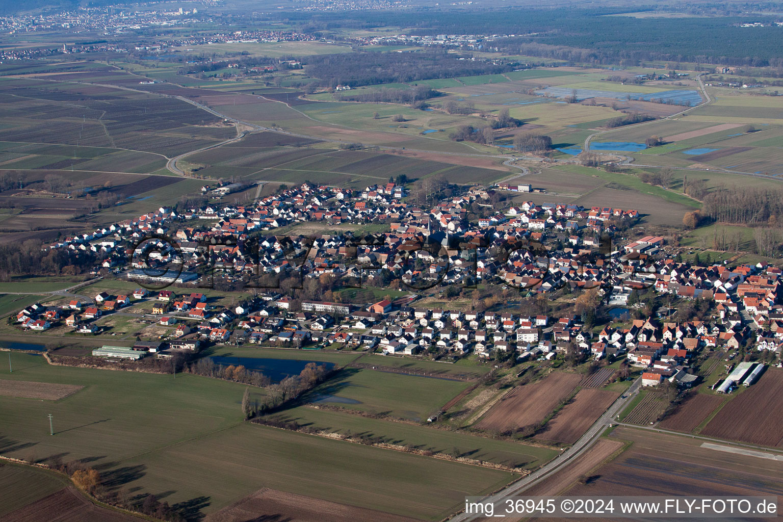 Oblique view of Gommersheim in the state Rhineland-Palatinate, Germany