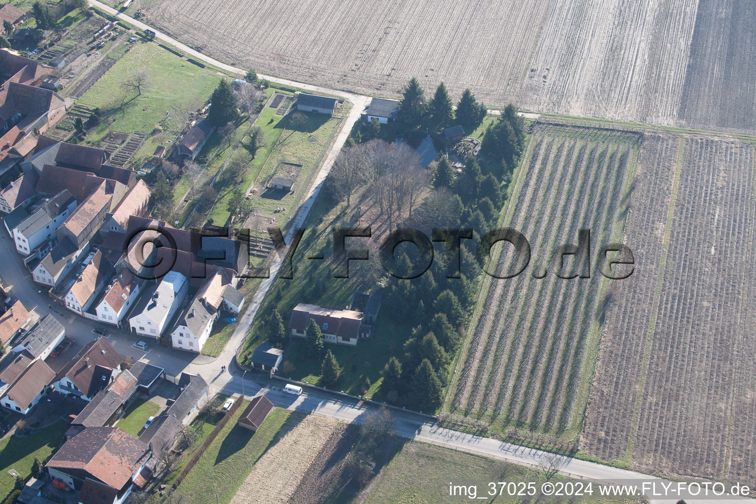 Oblique view of Erlenbach bei Kandel in the state Rhineland-Palatinate, Germany