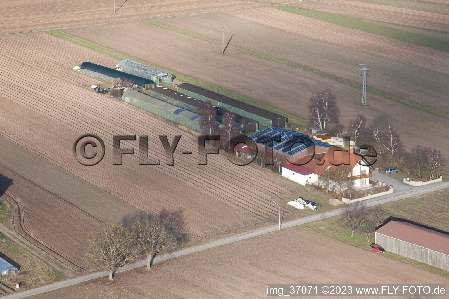 Settlers’ farms towards Rülzheim in Hördt in the state Rhineland-Palatinate, Germany