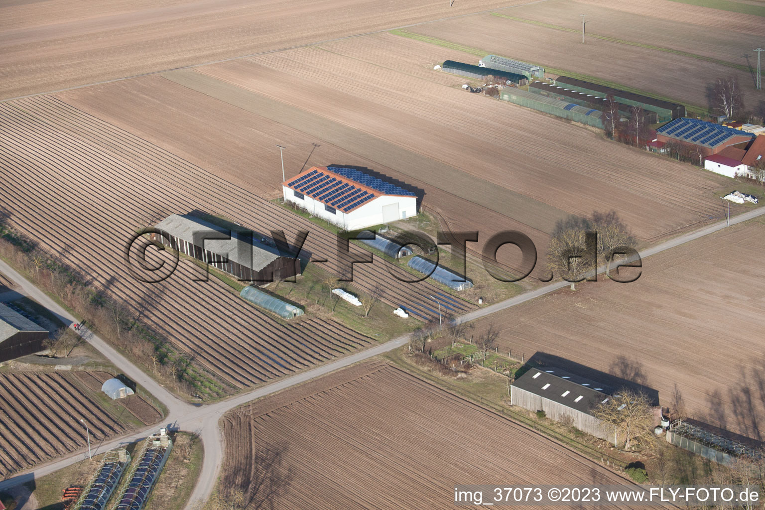 Aerial photograpy of Emigrant farms towards Rülzheim in Hördt in the state Rhineland-Palatinate, Germany