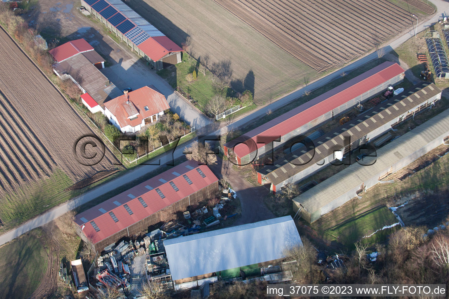 Settlers’ farms towards Rülzheim in Hördt in the state Rhineland-Palatinate, Germany from above