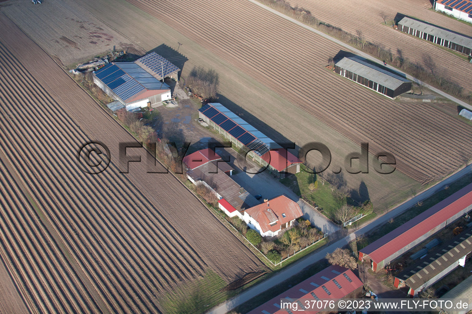 Settlers’ farms towards Rülzheim in Hördt in the state Rhineland-Palatinate, Germany out of the air