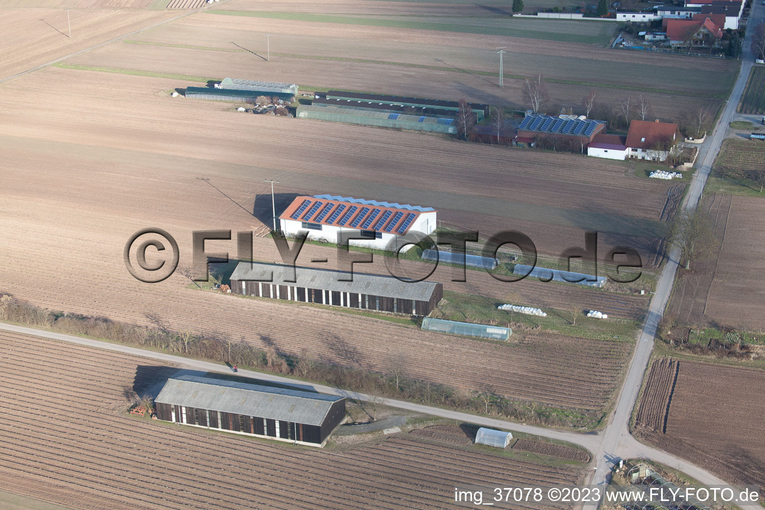 Emigrant farms towards Rülzheim in Hördt in the state Rhineland-Palatinate, Germany from the plane