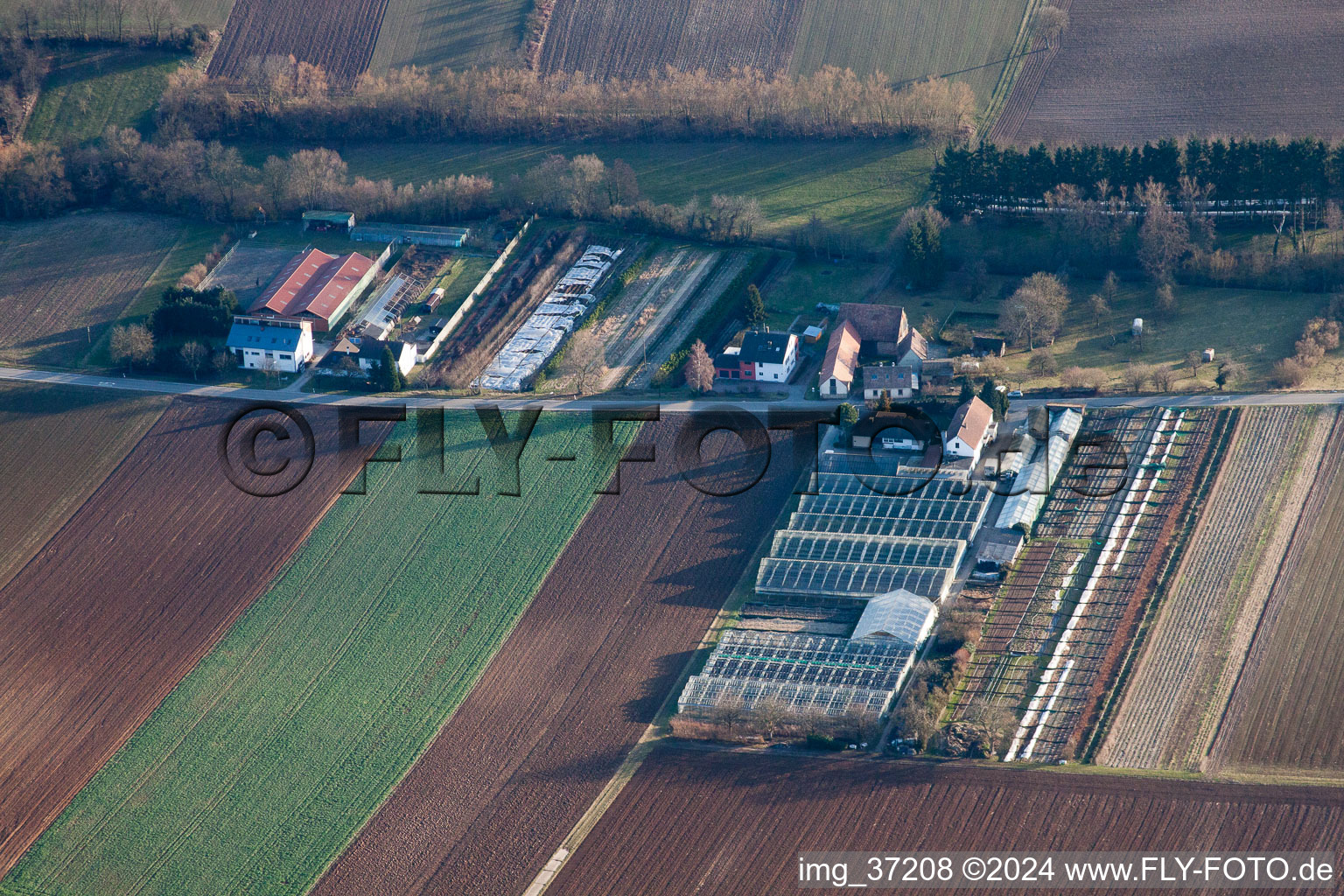 Oblique view of Gardening in Vollmersweiler in the state Rhineland-Palatinate, Germany