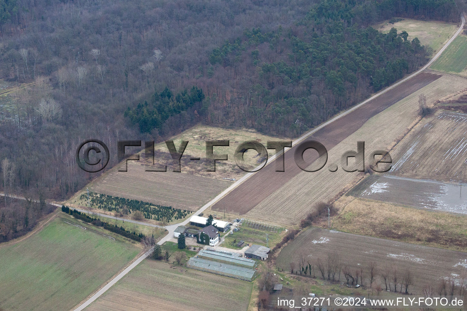 Nursery at Erlenbach in Erlenbach bei Kandel in the state Rhineland-Palatinate, Germany