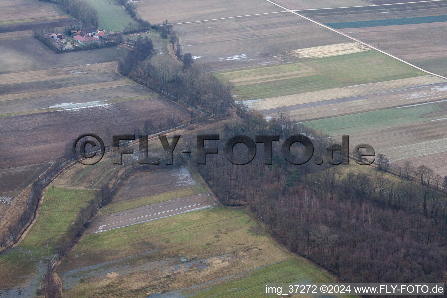 Hunting area at the Leistenmühle in the district Minderslachen in Kandel in the state Rhineland-Palatinate, Germany