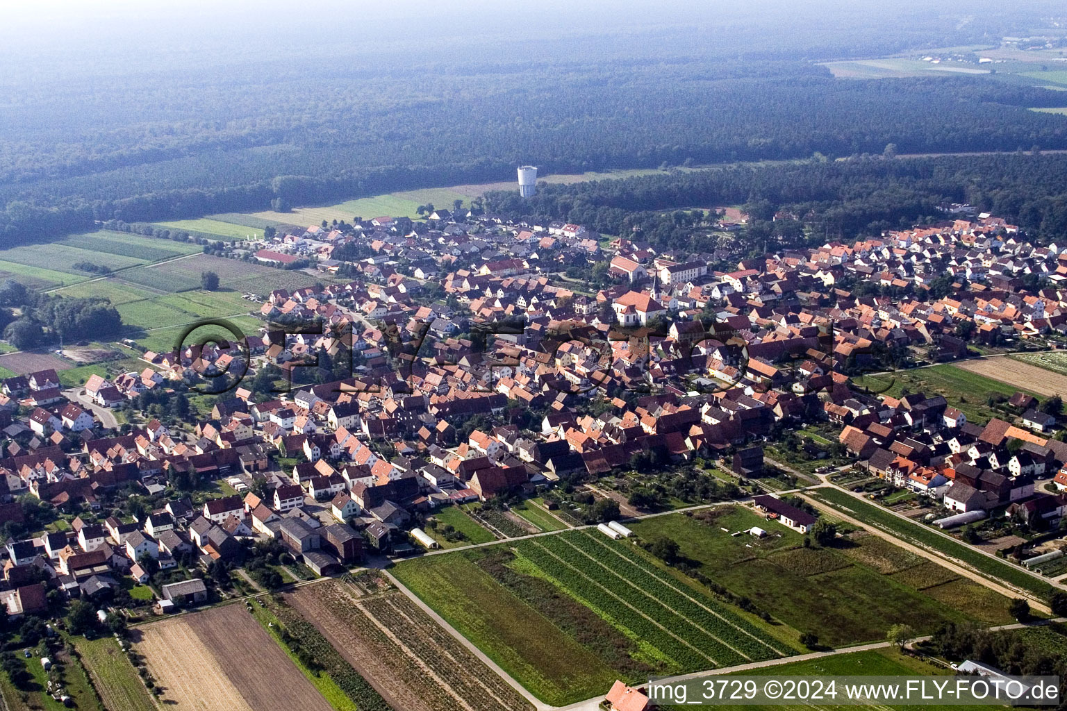 Hatzenbühl in the state Rhineland-Palatinate, Germany from the drone perspective