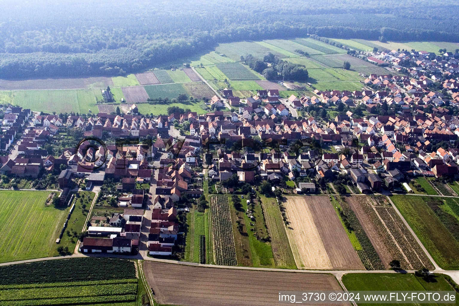 Hatzenbühl in the state Rhineland-Palatinate, Germany from a drone