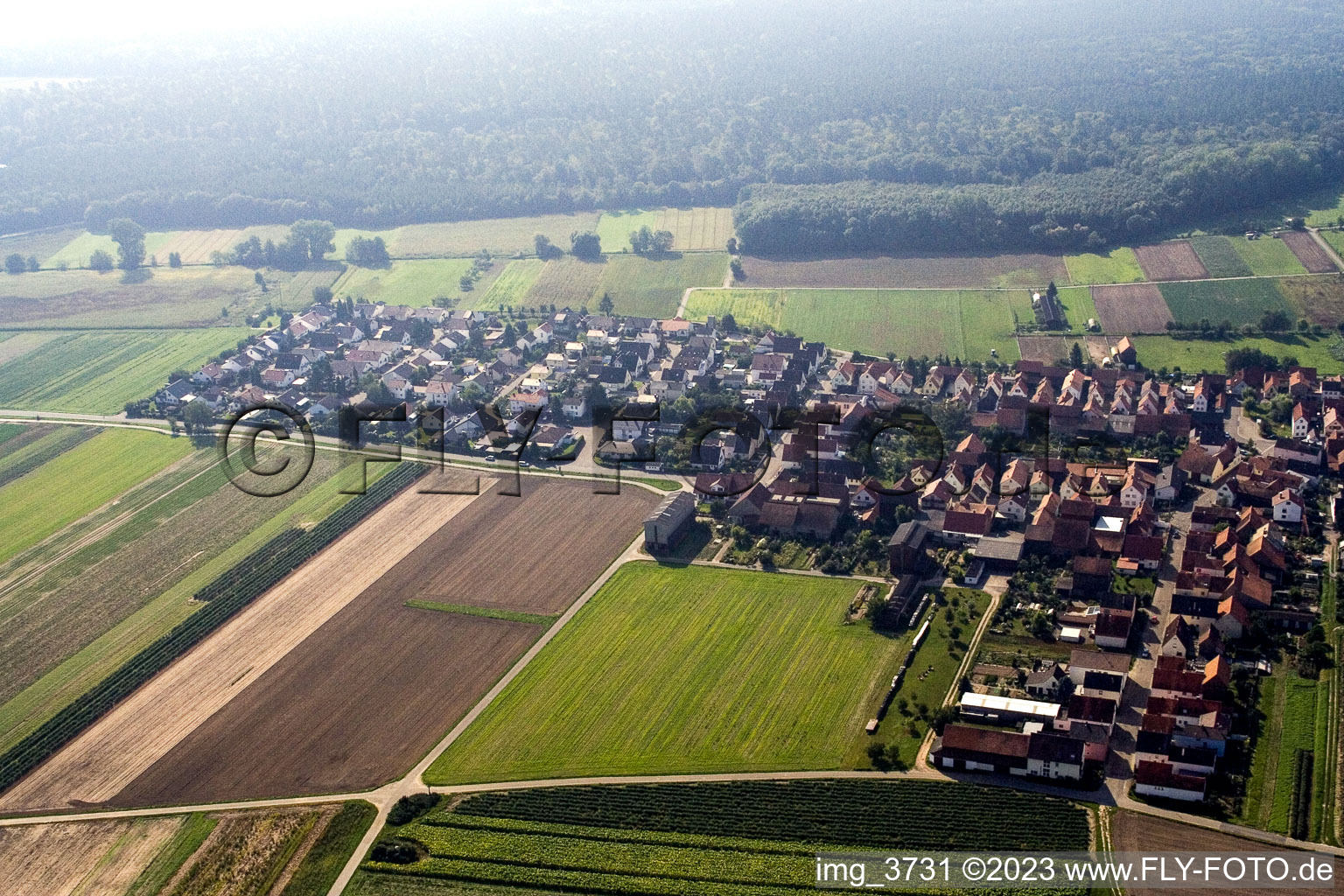 Hatzenbühl in the state Rhineland-Palatinate, Germany seen from a drone