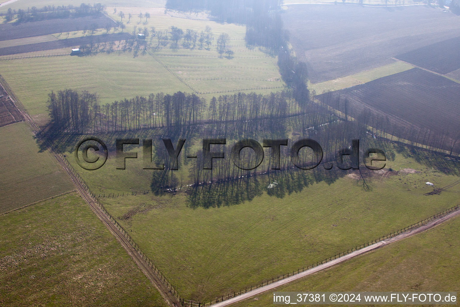 Riedseltz in the state Bas-Rhin, France out of the air