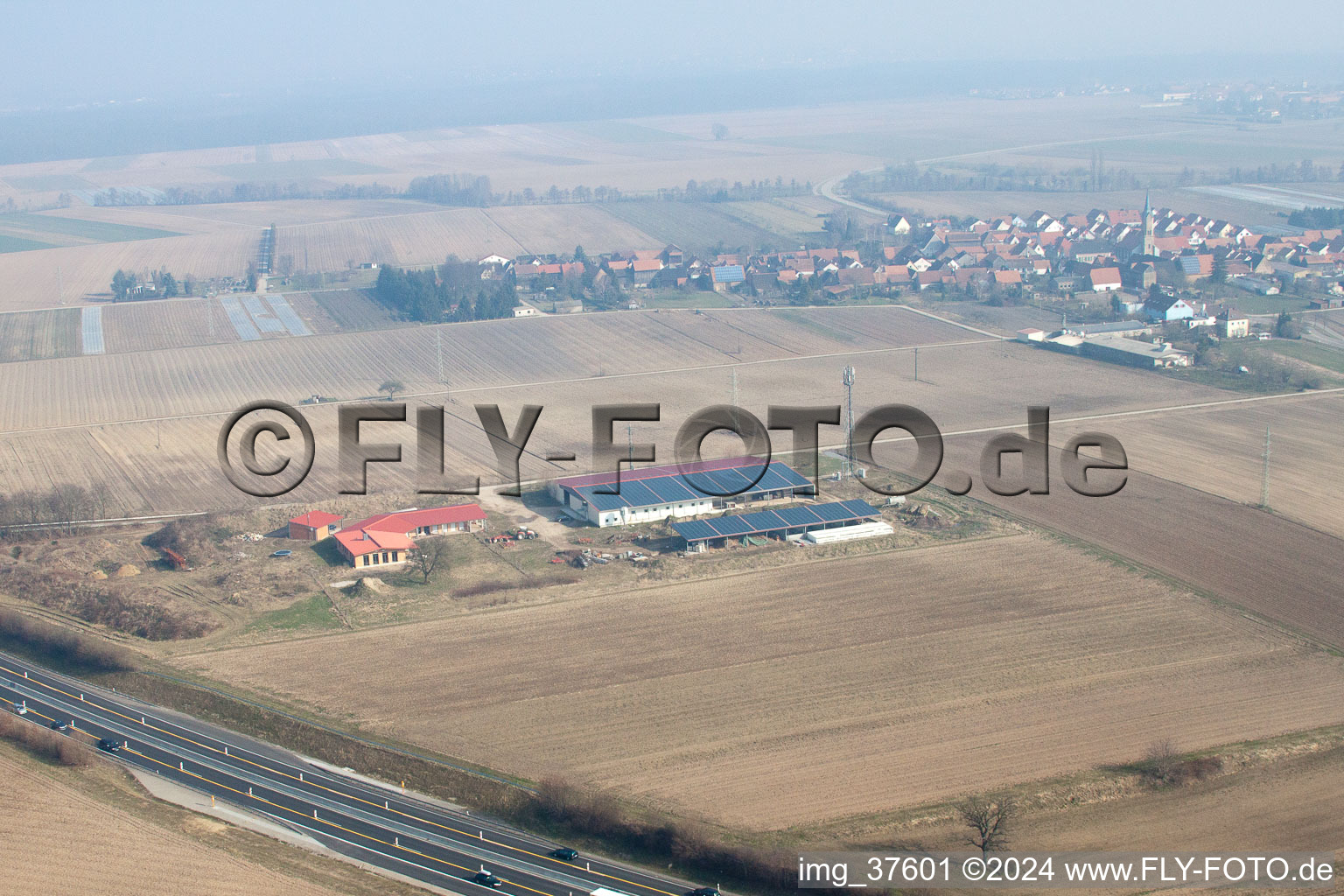 Chicken farm in Erlenbach bei Kandel in the state Rhineland-Palatinate, Germany