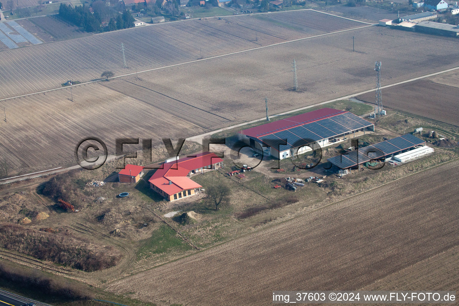 Oblique view of Egg farm in Erlenbach bei Kandel in the state Rhineland-Palatinate, Germany