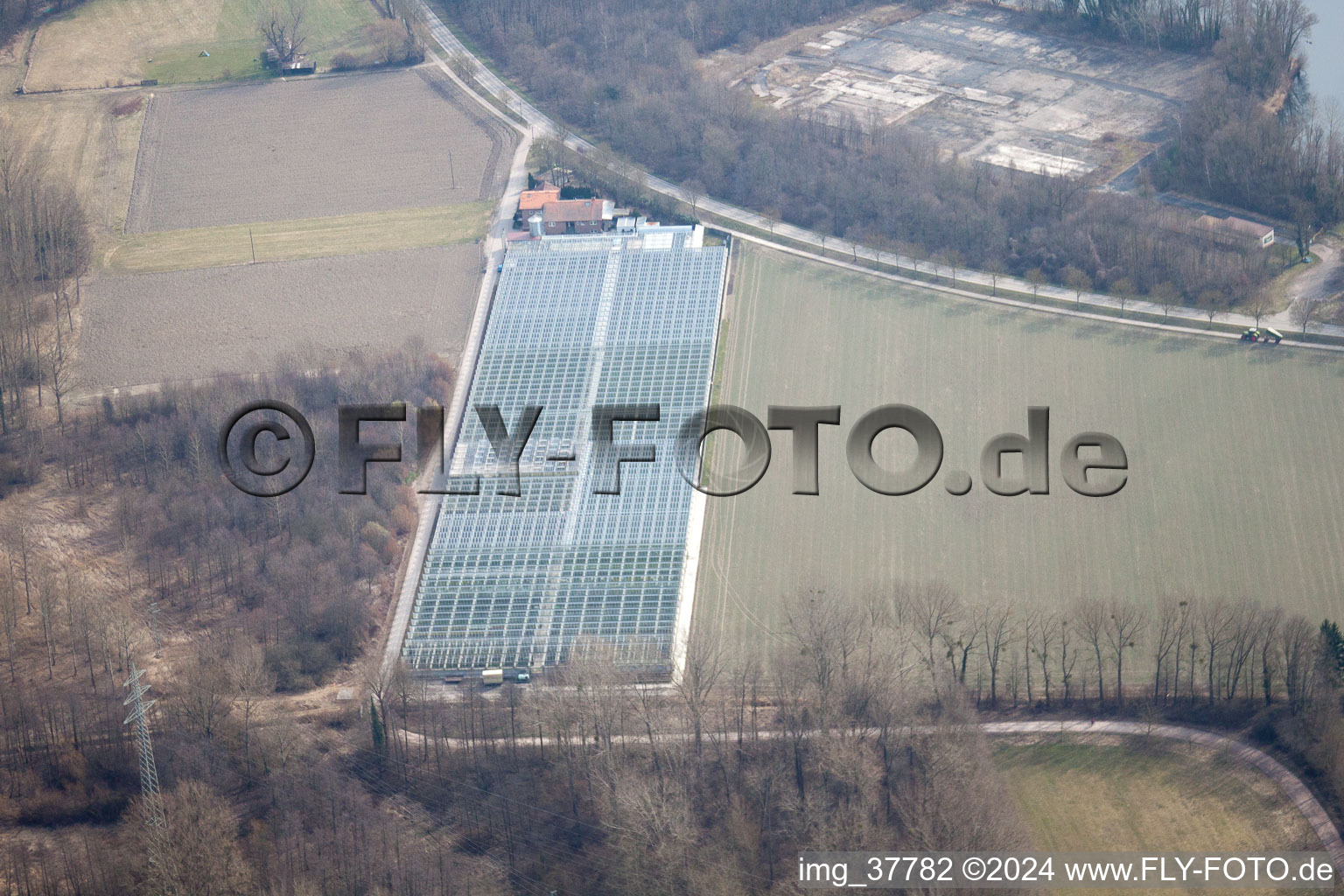 District Sondernheim in Germersheim in the state Rhineland-Palatinate, Germany from a drone