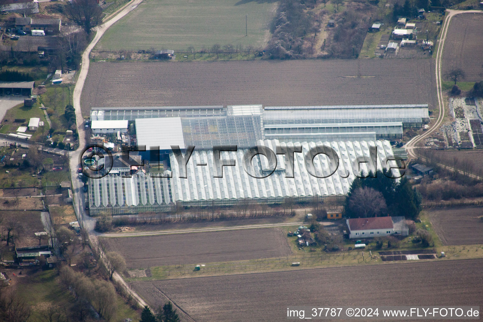 District Sondernheim in Germersheim in the state Rhineland-Palatinate, Germany from above