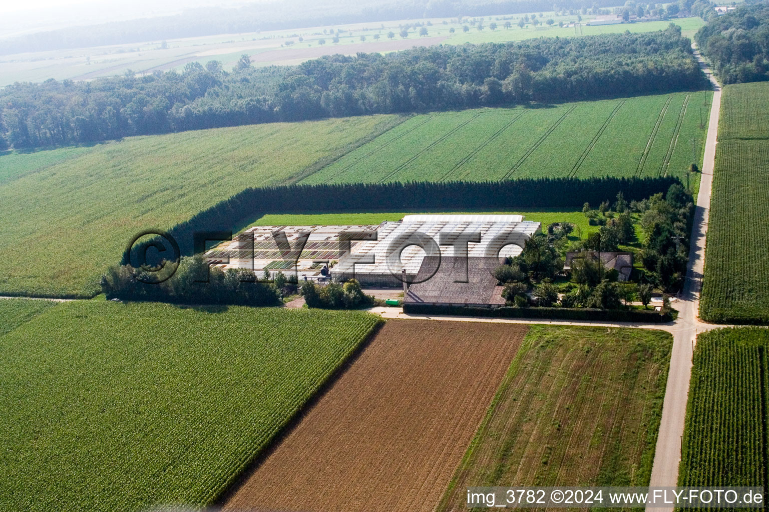 Sudetenhof in Steinweiler in the state Rhineland-Palatinate, Germany from above