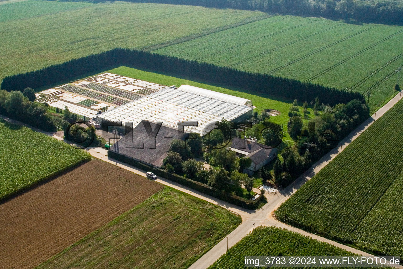 Sudetenhof in Steinweiler in the state Rhineland-Palatinate, Germany out of the air